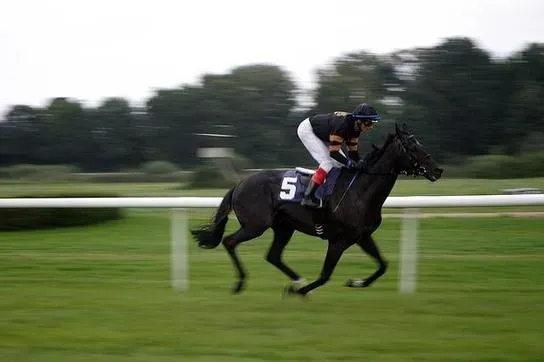 O Jockey Club de Sorocaba: Um Foco nas Corridas Quarter Horse